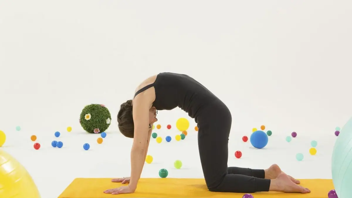 1.2.3. Piwi Le chat / respiration griffes de chat