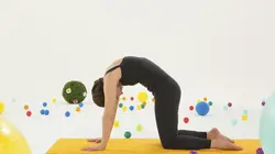 1.2.3. Piwi Le chat / respiration griffes de chat