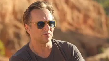 100% David Hallyday
