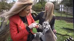 100 jours avec les animaux de Cerza, le plus grand zoo de Normandie