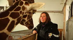 100 jours avec les animaux de Cerza, le plus grand zoo de Normandie