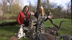 100 jours avec les animaux de Cerza, le plus grand zoo de Normandie