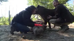 100 jours avec les animaux de Thoiry