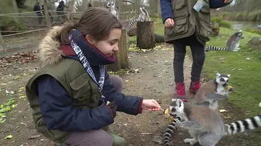 100 jours avec les animaux de Thoiry S01E03