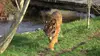 100 jours avec les animaux du Pal : le plus grand zoo d'Auvergne