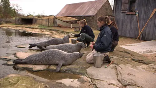 100 jours avec les animaux du zoo