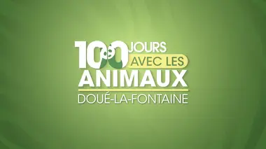 100 jours avec les animaux de la Palmyre