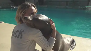100 jours avec les animaux du Zoo de Beauval
