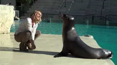 100 jours avec les animaux du Zoo de Beauval