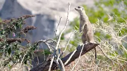 100 jours avec les animaux du Zoo de Paris