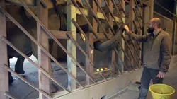 100 jours avec les animaux : l'Arche de BB