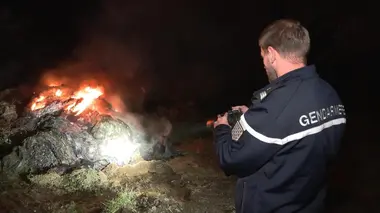 100 jours avec les gendarmes de Bretagne Alcool et stupéfiants : un fléau sur les routes bretonnes
