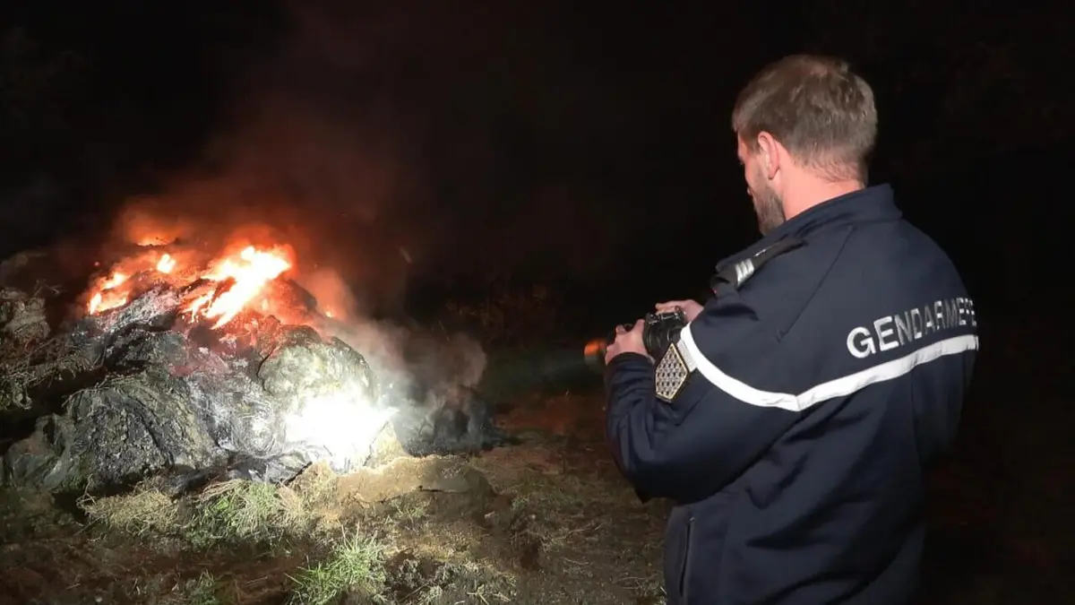 Visuel de 100 jours avec les gendarmes de Bretagne Ivrognes, retrait de permis, tentative de meurtre : alerte en Bretagne