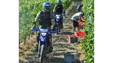 100 jours avec les gendarmes du Médoc Cannabis, délit de fuite, et chauffards : le quotidien chaud des gendarmes