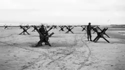 100 jours qui ont fait l'histoire