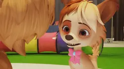 100% Loup : La Légende de la pierre de lune S01E23 Concours canin