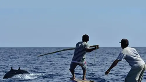 1000 jours pour la planète S02E00 La chasse aux cachalots