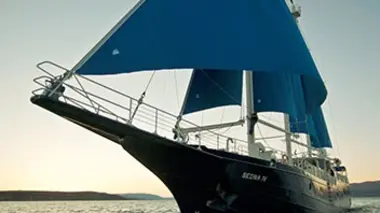 1000 jours pour la planète