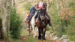 Visuel de 1000 kilomètres à cheval