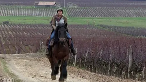 1000 kilomètres à cheval E01 De Lupiac à Aurillac