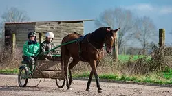 Visuel de 1000 kilomètres à cheval