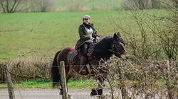 Visuel de 1000 kilomètres à cheval