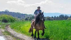 Visuel de 1000 kilomètres à cheval