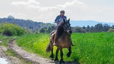 De la Corrèze au Jura