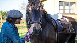 Visuel de 1000 kilomètres à cheval