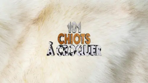 101 chiots à croquer