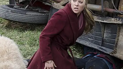 12 chiens pour Noël 2