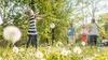 17 Ans et Maman UK : Les mamans changent de famille