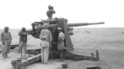 1939-1945 : Unités d'élite, les combattants de la liberté Les rats du désert