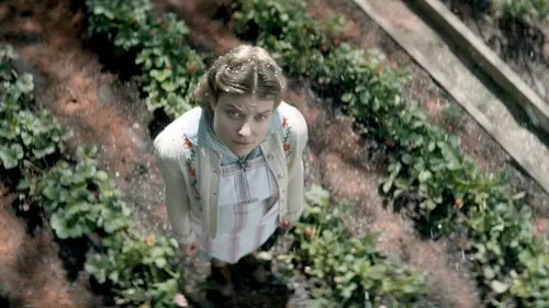 1939-1962 : les divisions du monde Le jardin devant le mur