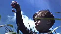 1939, un dernier été