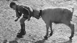 1942, un monde en guerre Mai-août