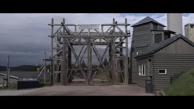 Les loups noirs d'Alsace : l'histoire falsifiée