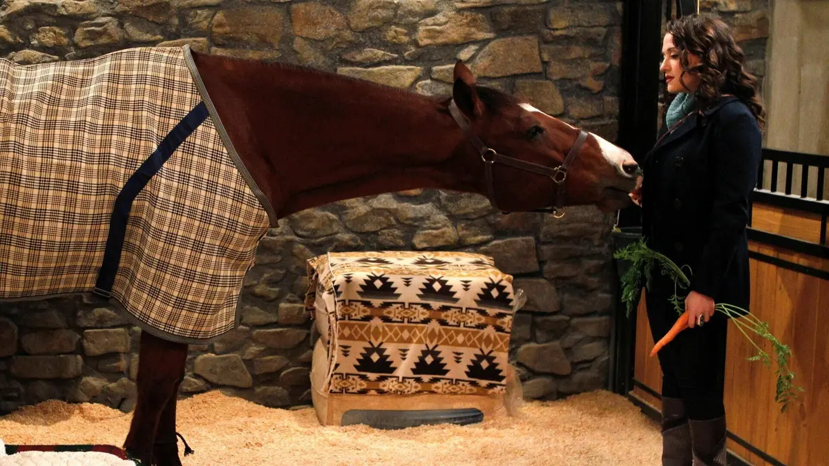 Visuel de 2 Broke Girls S02E11 Et l'associé passif