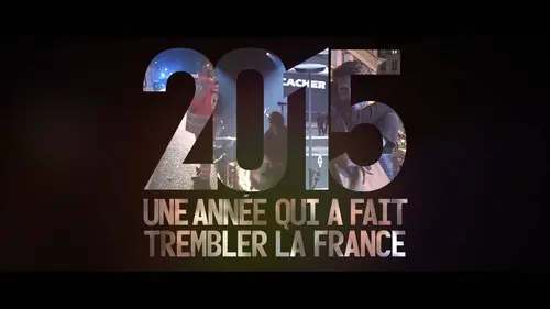 Audiences TV : 2015 : une année qui a fait trembler la France