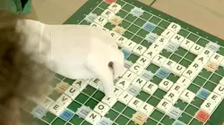 2020, la vie sur Terre