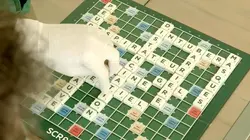 2020, la vie sur Terre