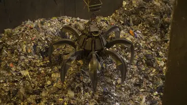 Déchets, plastiques, décharges, nuisibles, peut-on éviter le pire ?