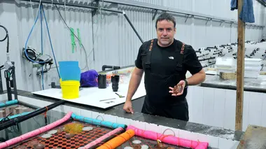 Se nourrir sans terre