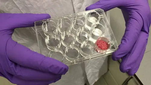 2050 dans votre assiette Se nourrir sans effort