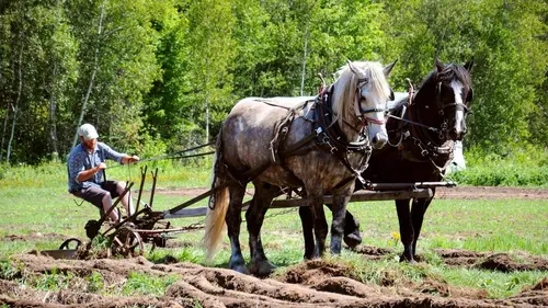 2050 dans votre assiette Se nourrir sans énergie