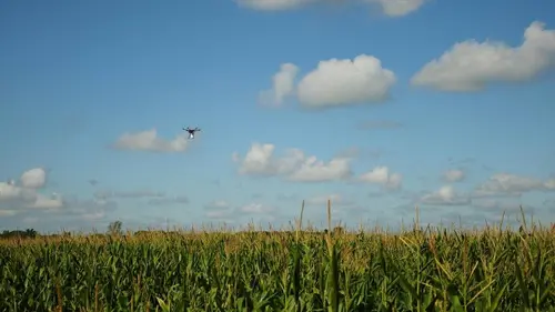 2050 dans votre assiette Se nourrir sans abeilles