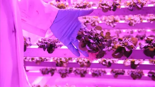 2050 dans votre assiette