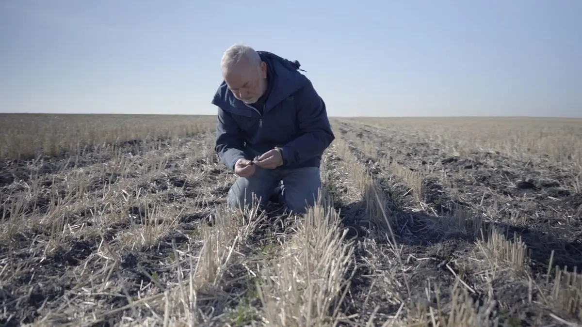 2050 : faudra-t-il vraiment se passer de viande ?