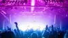 21 juillet, la Belgian Party : Le concert