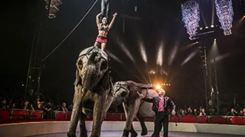 21e Festival international du cirque de Massy